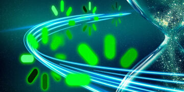 New methodology might enhance LLM coaching effectivity | MIT Information