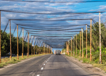 Fishing Nets Are Turning into A Highly effective Counter To Battle Drones