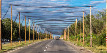 Fishing Nets Are Turning into A Highly effective Counter To Battle Drones