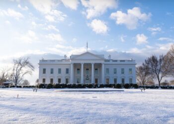 White Home Rolls Out International AI Initiatives