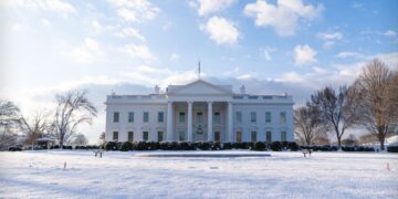 White Home Rolls Out International AI Initiatives