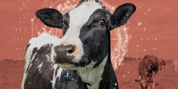 The Bay Space’s animal welfare motion desires to recruit AI