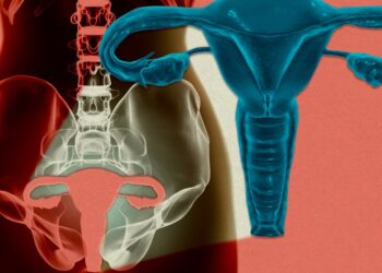 A lady’s uterus has been stored alive exterior the physique for the primary time