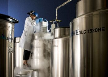 Here is why some individuals select cryonics to retailer their our bodies and brains after demise
