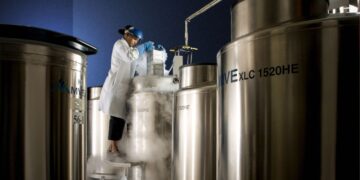 Here is why some individuals select cryonics to retailer their our bodies and brains after demise