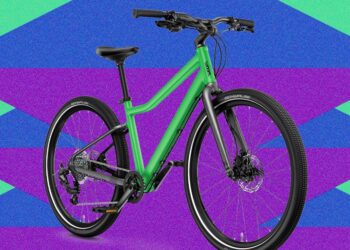 Finest Children’ Bikes (2026): Woom, Prevelo, Guardian, and Extra