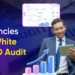 Why Companies Want a White Label search engine optimization Audit Service