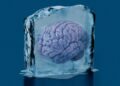 This scientist rewarmed and studied items of his good friend’s cryopreserved mind