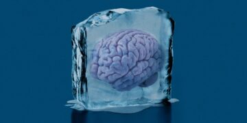 This scientist rewarmed and studied items of his good friend’s cryopreserved mind