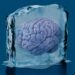 This scientist rewarmed and studied items of his good friend’s cryopreserved mind