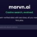 marvn.ai and the rise of vertical AI search engines like google