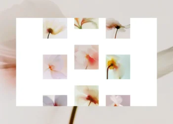 Sticky Grid Scroll: Constructing a Scroll-Pushed Animated Grid