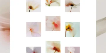 Sticky Grid Scroll: Constructing a Scroll-Pushed Animated Grid