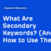 What Are Secondary Key phrases? (And How one can Use Them)