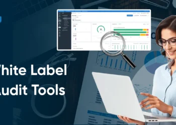 10+ White Label Web optimization Audit Instruments