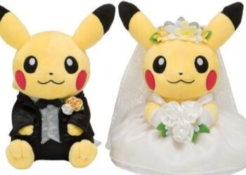 Pokémon Fan Sells Uncommon Playing cards Price $44,000 to Fund Marriage ceremony