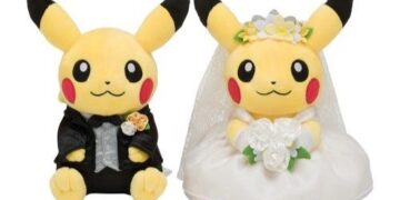 Pokémon Fan Sells Uncommon Playing cards Price $44,000 to Fund Marriage ceremony