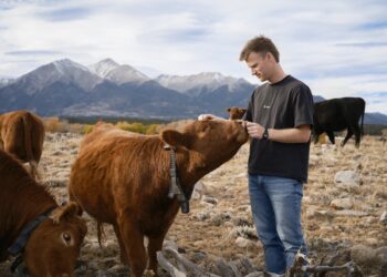 Peter Thiel’s large wager on solar-powered cow collars