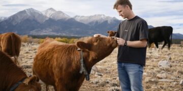 Peter Thiel’s large wager on solar-powered cow collars
