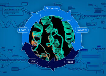 Bringing AI-driven protein-design instruments to biologists all over the place | MIT Information