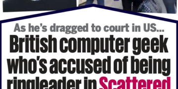 ‘Scattered Spider’ Member ‘Tylerb’ Pleads Responsible – Krebs on Safety