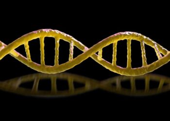 The Obtain: murderous ‘mirror’ micro organism, and Chinese language staff combating AI doubles