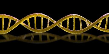 The Obtain: murderous ‘mirror’ micro organism, and Chinese language staff combating AI doubles