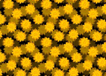 De-fi platform Drift suspends deposits and withdrawals after hundreds of thousands in crypto stolen in hack