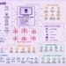 45,000 Assaults, 5,300+ Backdoors Tied to China-Linked Cybercrime Operation