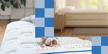 Finest Early Memorial Day Mattress Offers: Helix, Saatva (2026)
