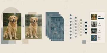Picture Recognition in AI: How It Works