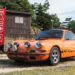 Forza Horizon 6 evaluate – The driving sport for everybody nonetheless can’t appear to flee its car-collecting legacy
