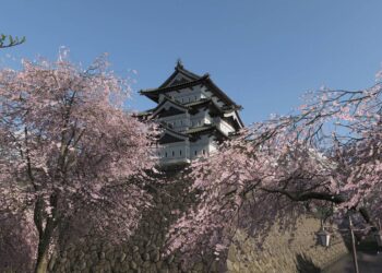 All images places in Forza Horizon 6