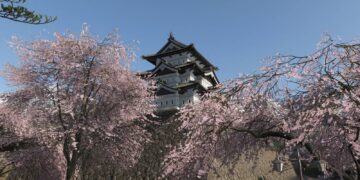All images places in Forza Horizon 6
