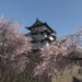 All images places in Forza Horizon 6