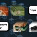 Fixing the “Whac-a-mole dilemma”: A wiser method to debias AI imaginative and prescient fashions | MIT Information