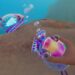 Easy methods to get water in Subnautica 2