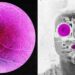 Longevity Startup Doses First Human in Bid to Reverse Age-Associated Sight Loss