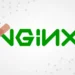 F5 Patches NGINX Vulnerability Enabling Code Execution and DoS Assaults