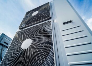 How digital energy crops might present power for knowledge facilities