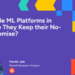 Do They Maintain the No-Code Promise?