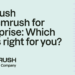 Which one is best for you?