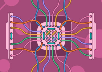 The Hidden Safety Threat in Trendy Networks: The Work Between Instruments