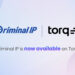 Torq and Prison IP Accomplice to Ship Resolution-Prepared Risk Intelligence for Autonomous SOC Operations