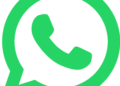 WhatsApp for Android Obtain APK Free – 2.26.24.81