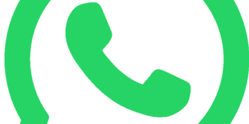 WhatsApp for Android Obtain APK Free – 2.26.24.81