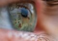 A tool that revives eyeballs from useless donors may make eye transplants attainable