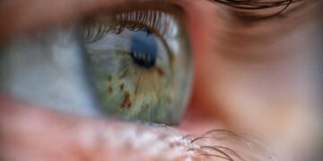A tool that revives eyeballs from useless donors may make eye transplants attainable