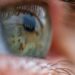 A tool that revives eyeballs from useless donors may make eye transplants attainable