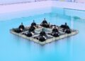 Tiny robotic boats construct floating constructions | MIT Information